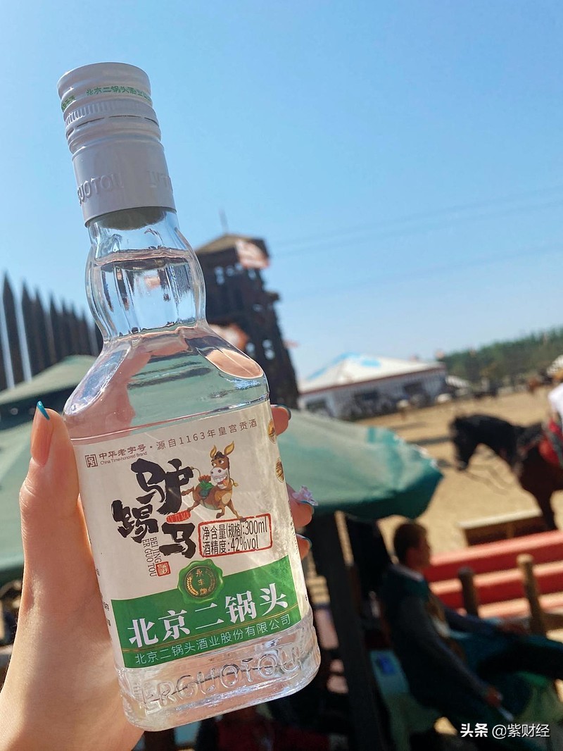 王宝强自己开公司,王宝强创业