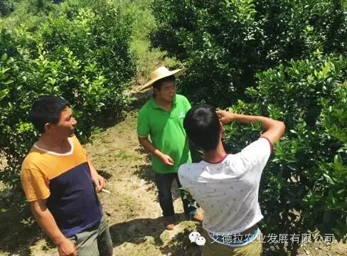 爱农服务一切为农,爱农懂农为农服务