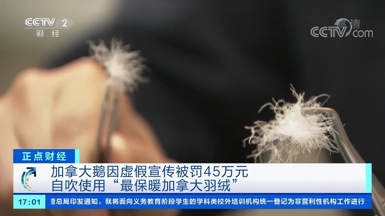 加拿大鹅羽绒服官方正品鸭绒,加拿大鹅羽绒服虚假宣传事件