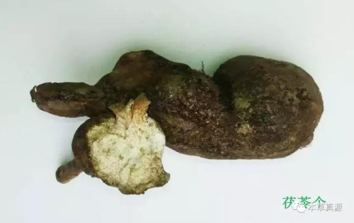 茯苓利湿健脾乃上品中草药,利水健脾茯苓的功效