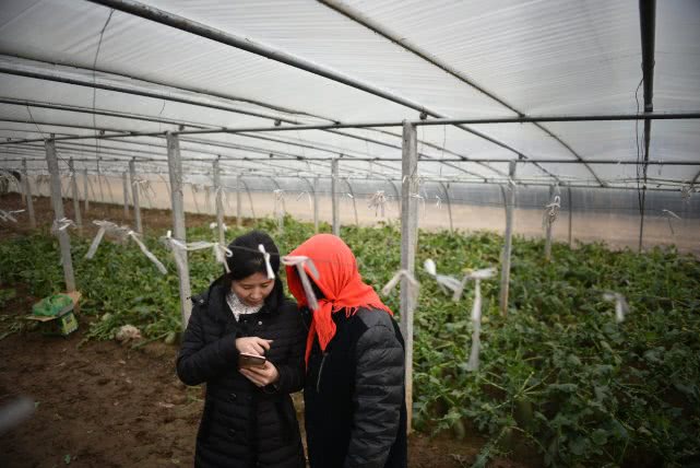 安徽90后萝卜西施,90后豆腐西施月入过万