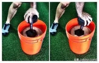 想增强握力应该做什么动作,想要增强力量怎么训练