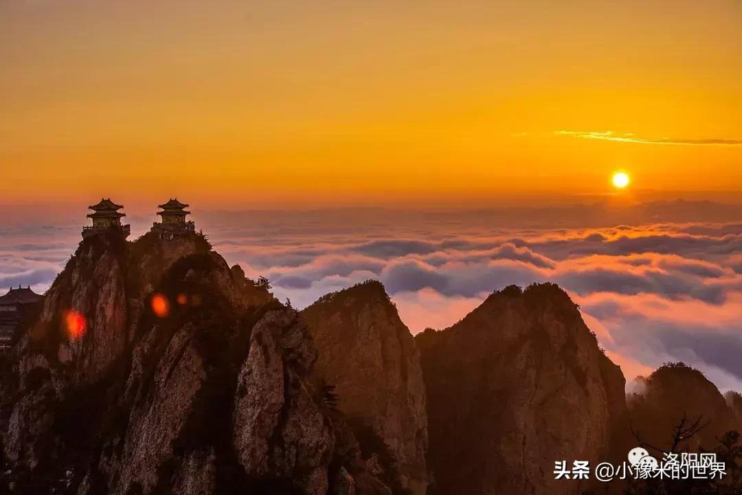 向洛阳人发出邀请国潮盛宴来袭,洛阳发布通知