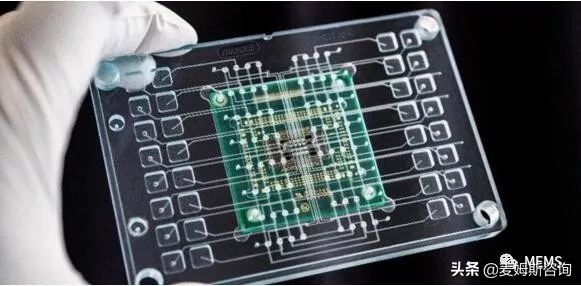 器官芯片是什么 (智能器官芯片现状)