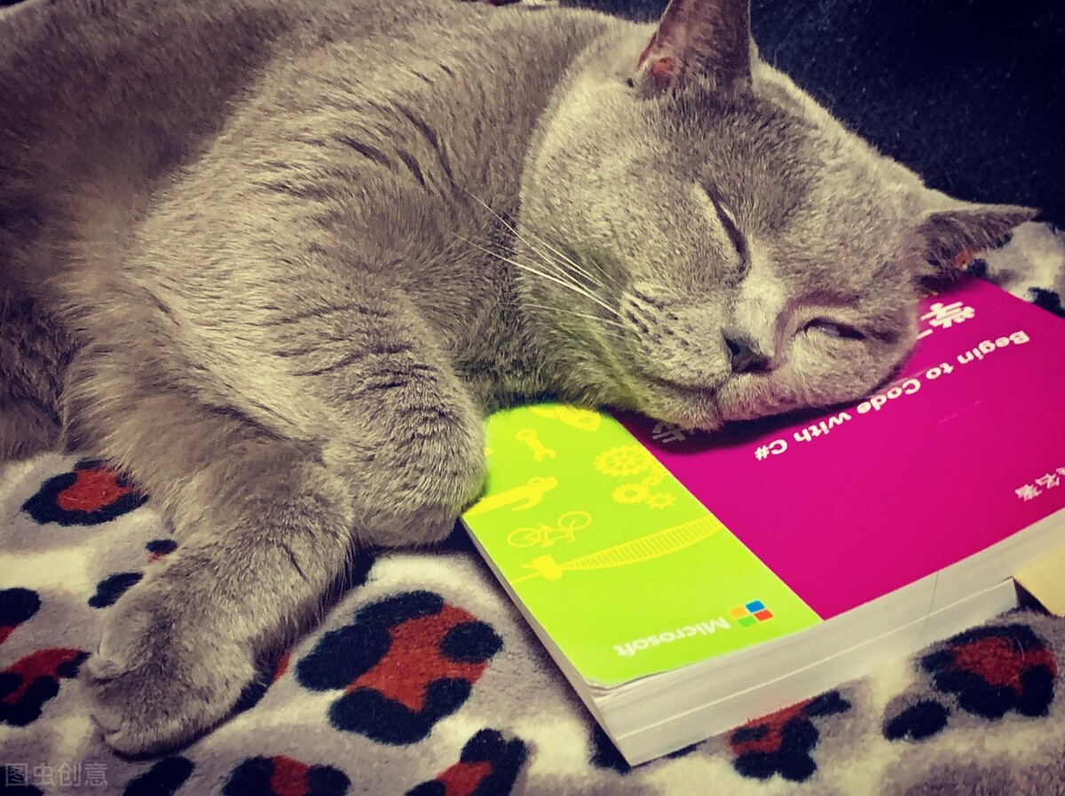 脑子是清醒的但是感觉自己变笨了,好久不思考感觉脑子变笨了