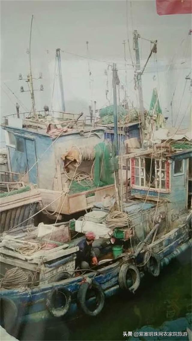 天津滨海新区吃海鲜渔村,天津滨海吃皮皮虾