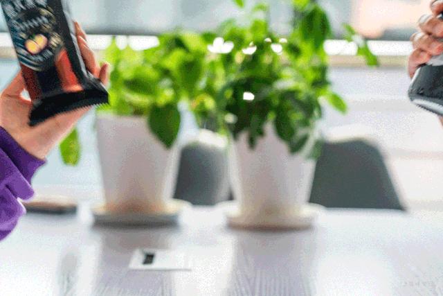 万物皆可酱香型,万物皆可酿酒