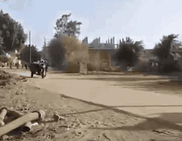 今天来大哥家吃饭，嫂子亲自下厨，待遇真高