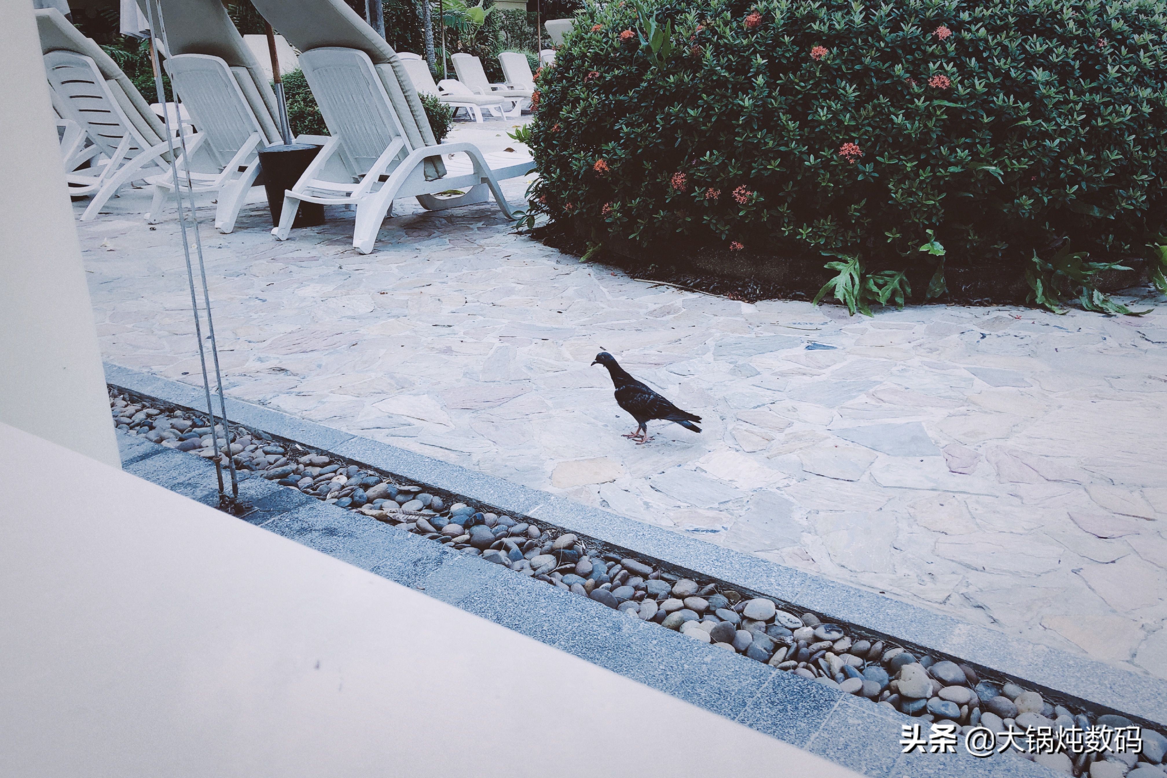 从iPhone4到iPhone16多少款手机,从iphone4到iphonex