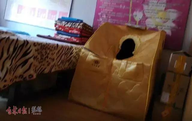 长春权健消息,权健加盟费给谁