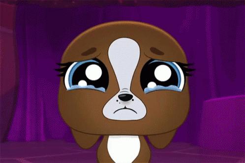 老外被问到最后悔的事,老外一辈子最后悔的事