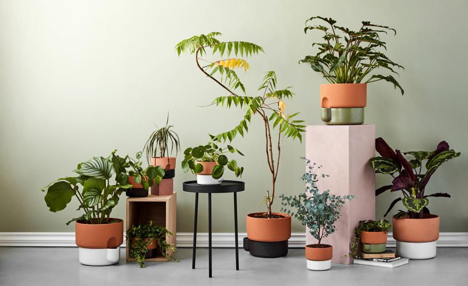 软装设计培训好吗,软装设计师培训和家具设计