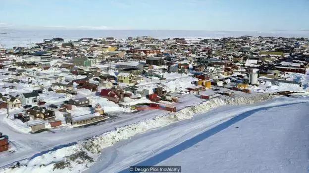 哈士奇拯救小镇,哈士奇拯救了一个村的人