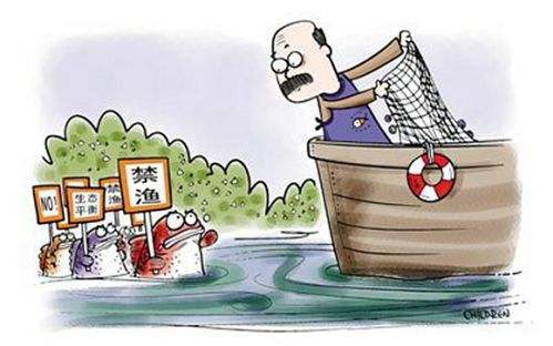 四川禁捕禁钓最新规定,四川禁钓区域钓鱼会受到什么处罚