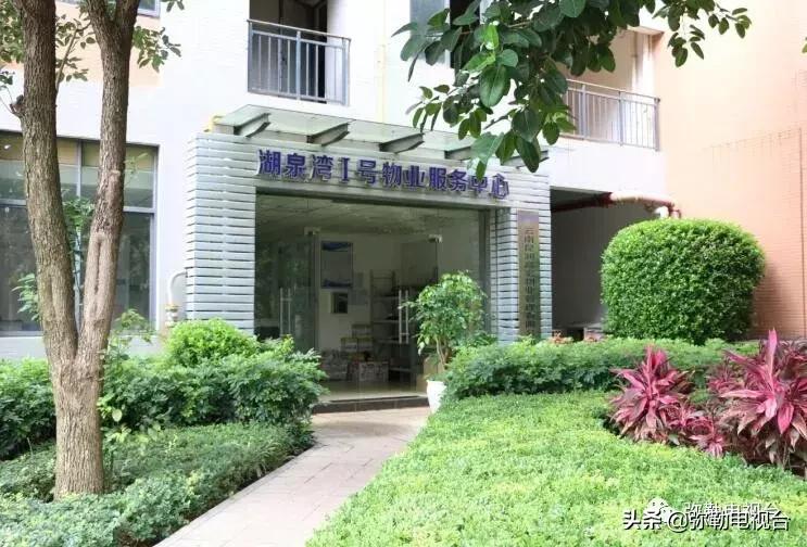 女子报警说家门口有恶犬,女子报警家门口有恶犬