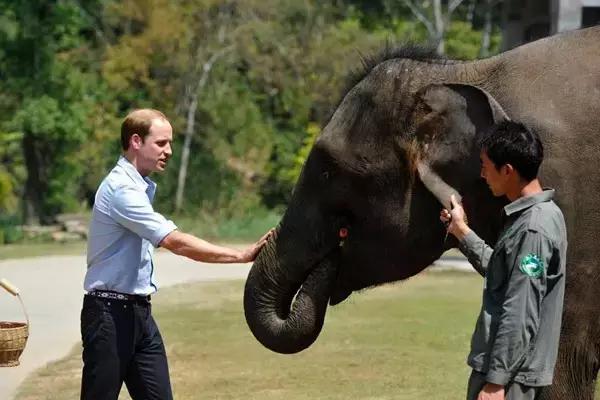 西双版纳旅游攻略旅行地点推荐,西双版纳旅游攻略最新详细