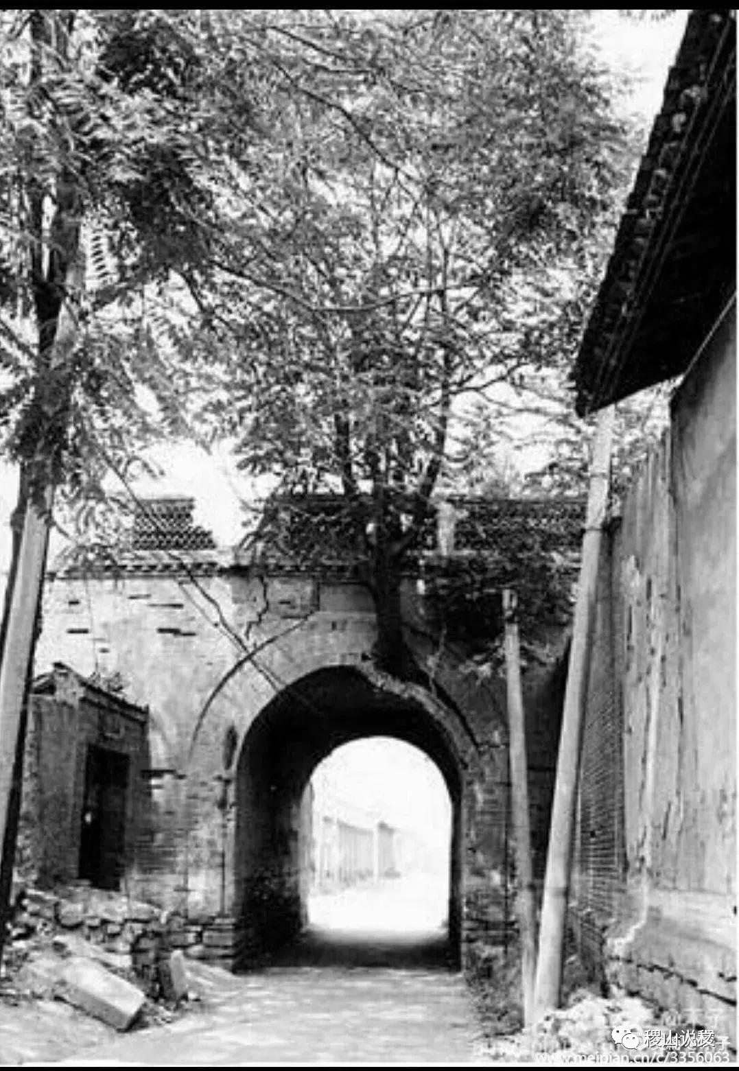 我骄傲我是介休人朗诵,我骄傲我是山西泽州人