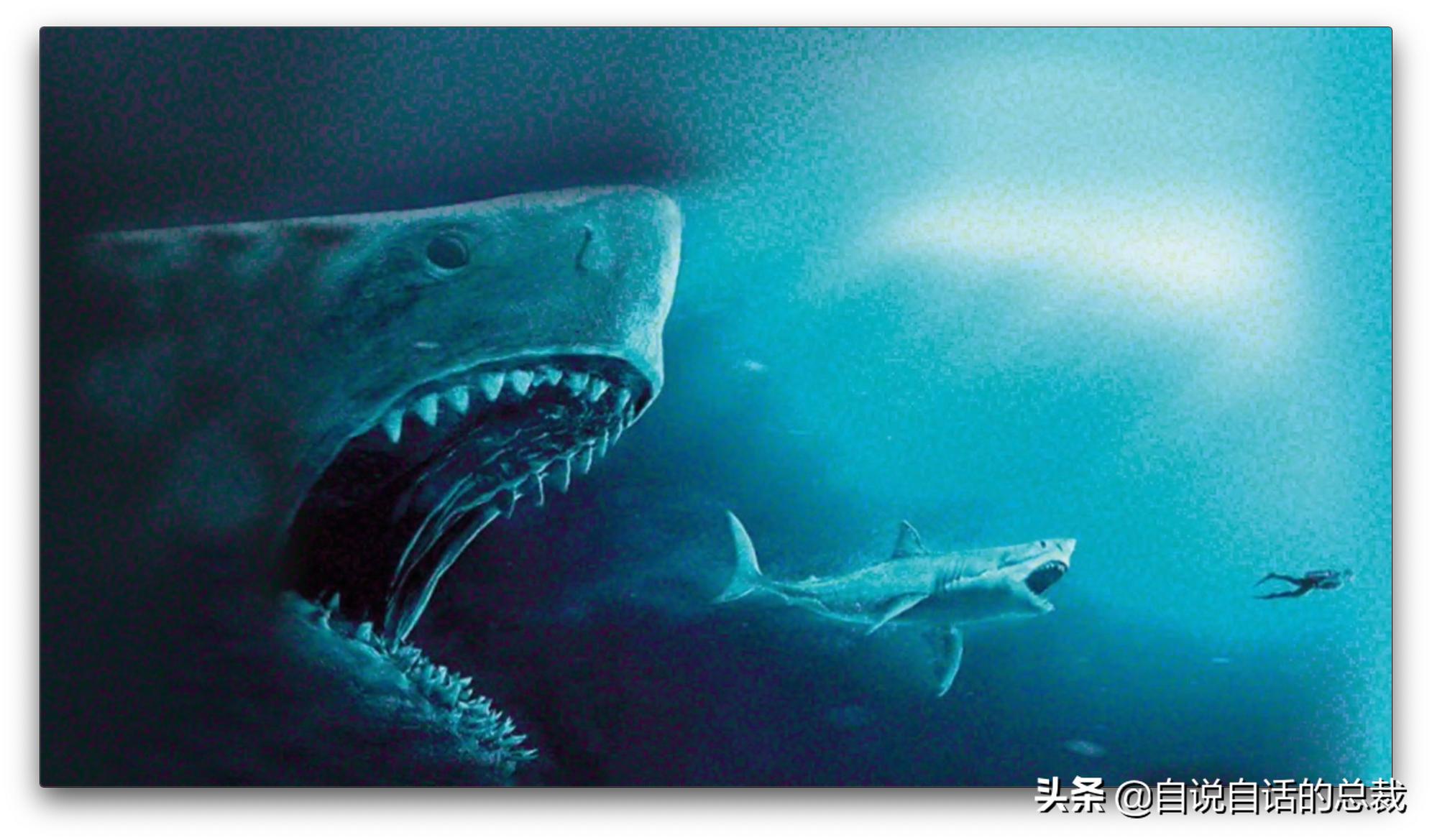 美国探测深海潜艇失踪事件,美国海神号发现了什么