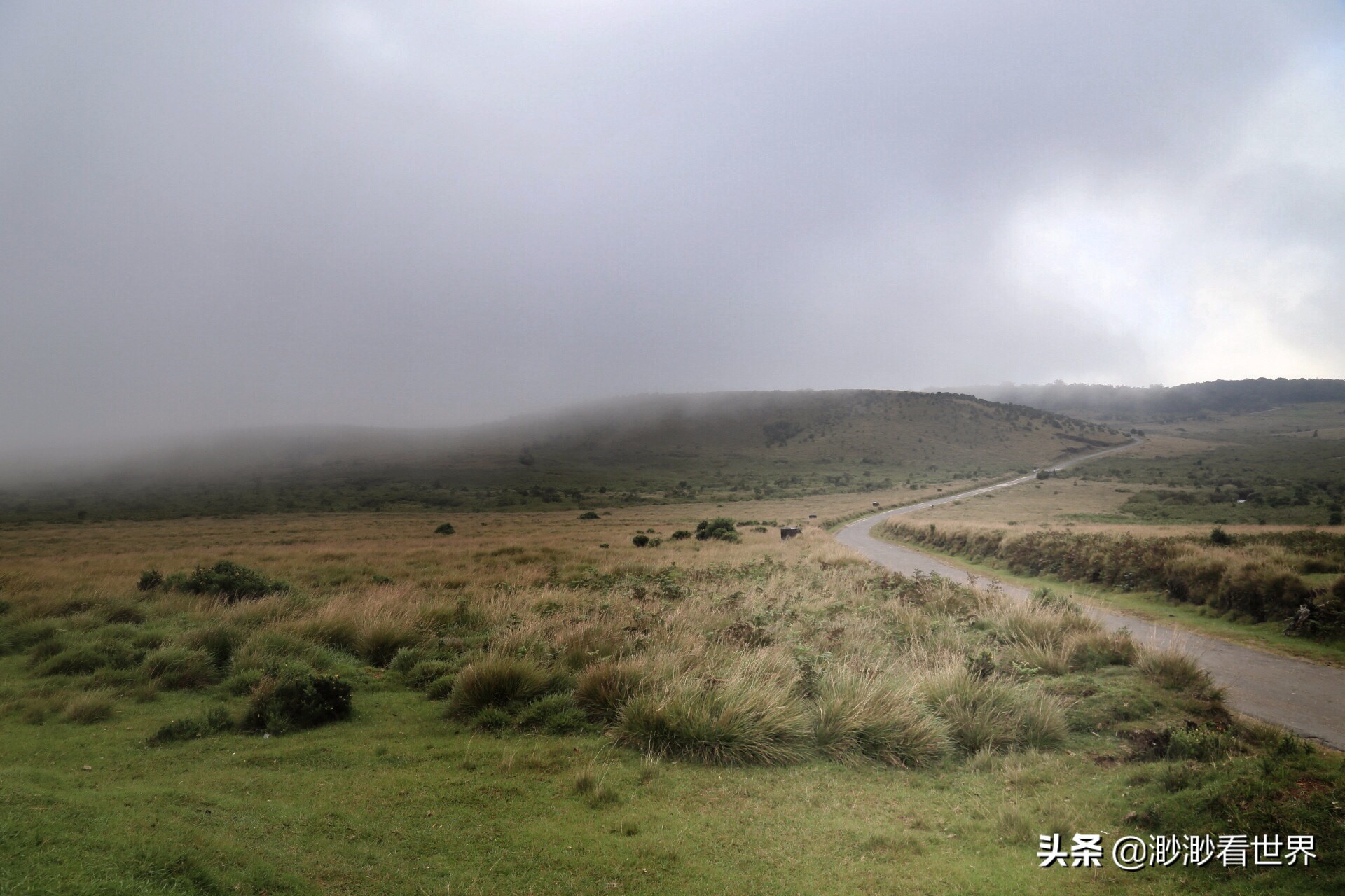 去斯里兰卡旅游攻略,1月去斯里兰卡旅游的最佳攻略