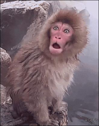 球员工资那么高俱乐部哪来的钱,球员工资那么高俱乐部怎么赚钱