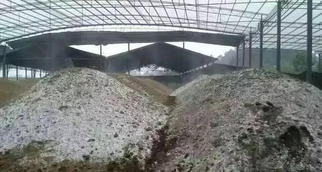 粪肥怎么用猪粪鸡粪羊粪,鸡粪羊粪牛粪怎么做有机肥