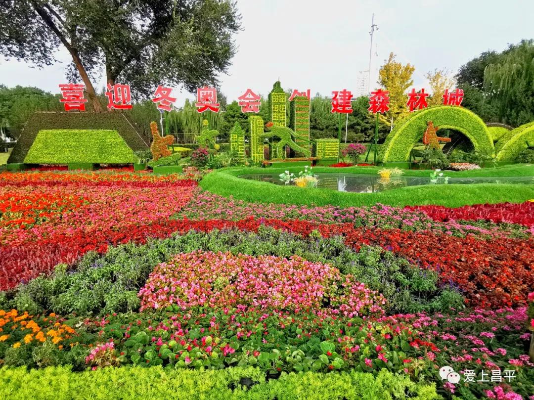 人间最美的旅游地,人间最美四月天去哪里玩