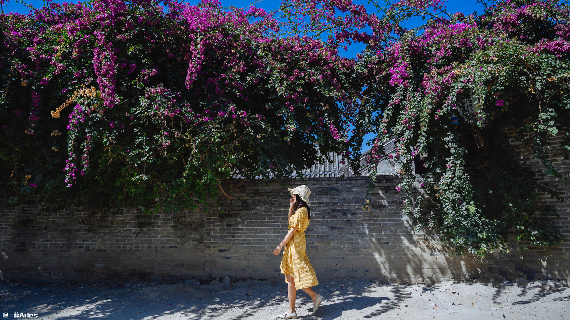 三亚解封了可以去三亚旅游吗,三亚旅游什么时候可以恢复