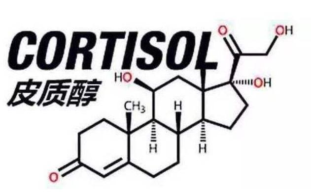 如何降低皮质醇水平和减肥,如何改善压力导致的皮质醇升高