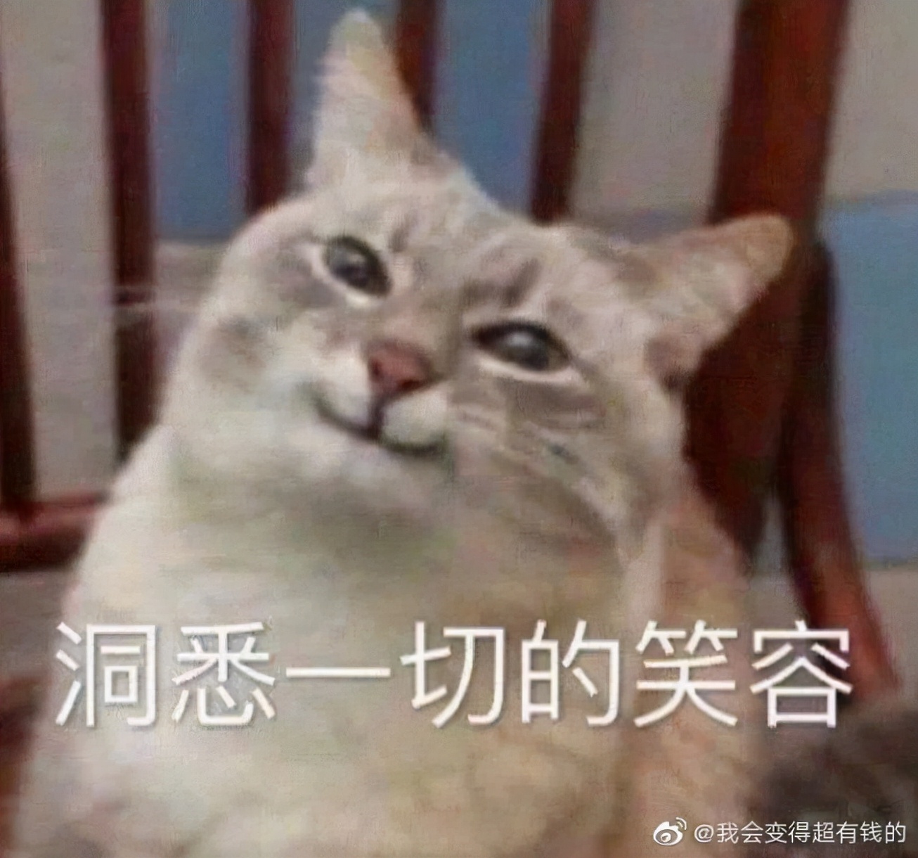 论辅助的重要性团战,太虚少侠