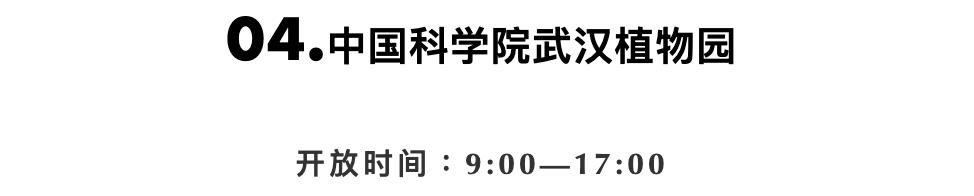 武汉重启震撼视频,武汉重启全程