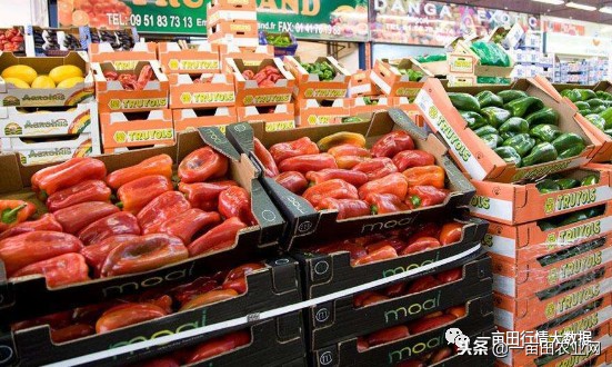 全国今日蔬菜菜价,全国菜价最新消息