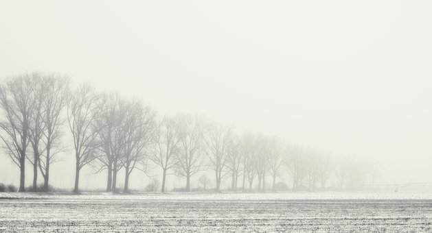 护肤界十大智商税,药学博士十大骗局