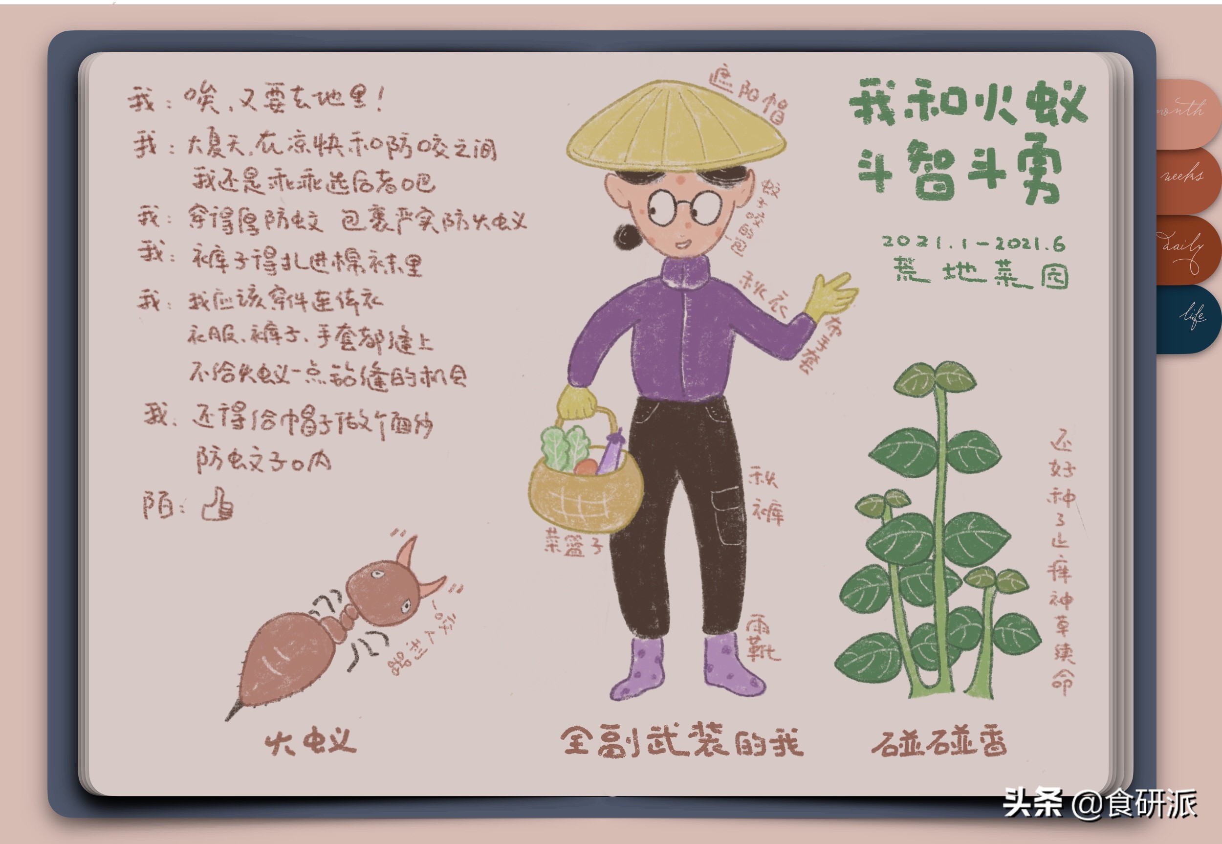 夏天养什么植物驱赶蚊子,家里蚊子多养什么植物