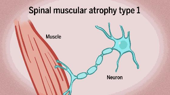 蛇到底怕雄黄是真的吗,为什么蛇害怕雄黄粉