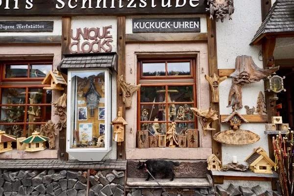 拥有“私家园林”，游遍世界各地，这些猫咪的生活太让人羡慕了吧