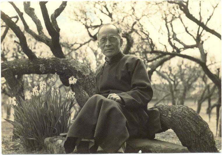 张爱玲痛失丈夫后的生活,张爱玲无后