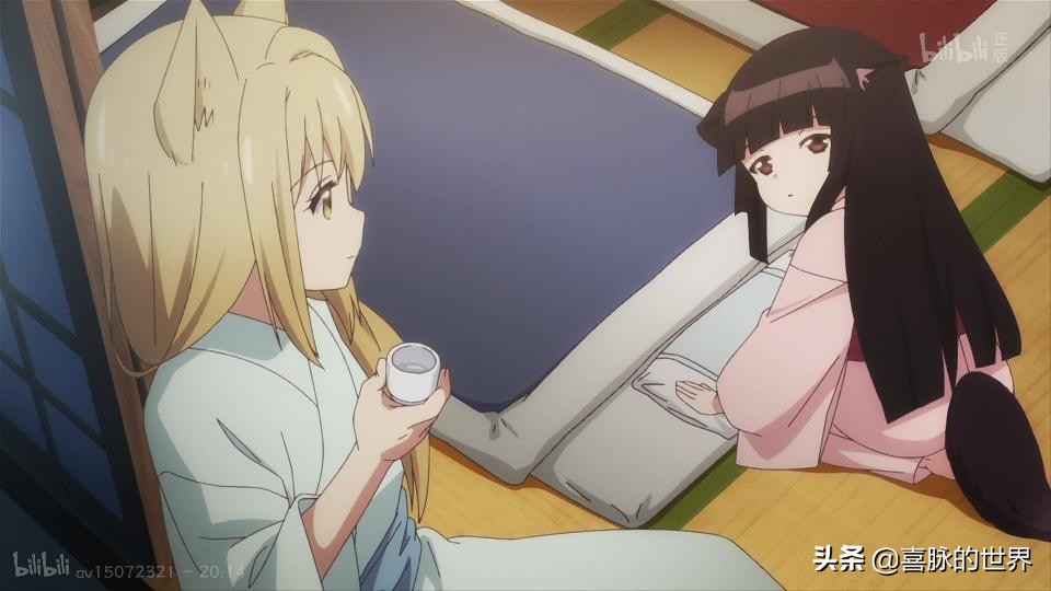 一份极为主观的国内常见内容创作平台体验报告