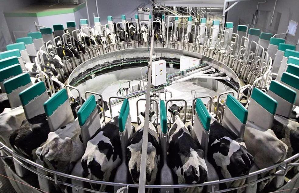 国产奶粉的现状及突围,国产奶粉市场份额将破60%