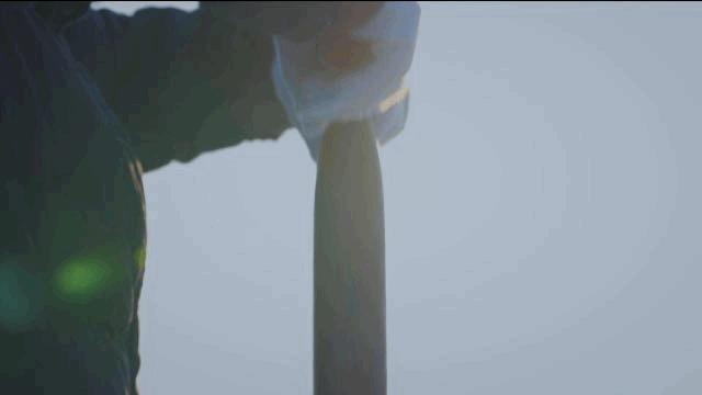 关于奋斗坚持的故事,坚持与努力同在正能量故事