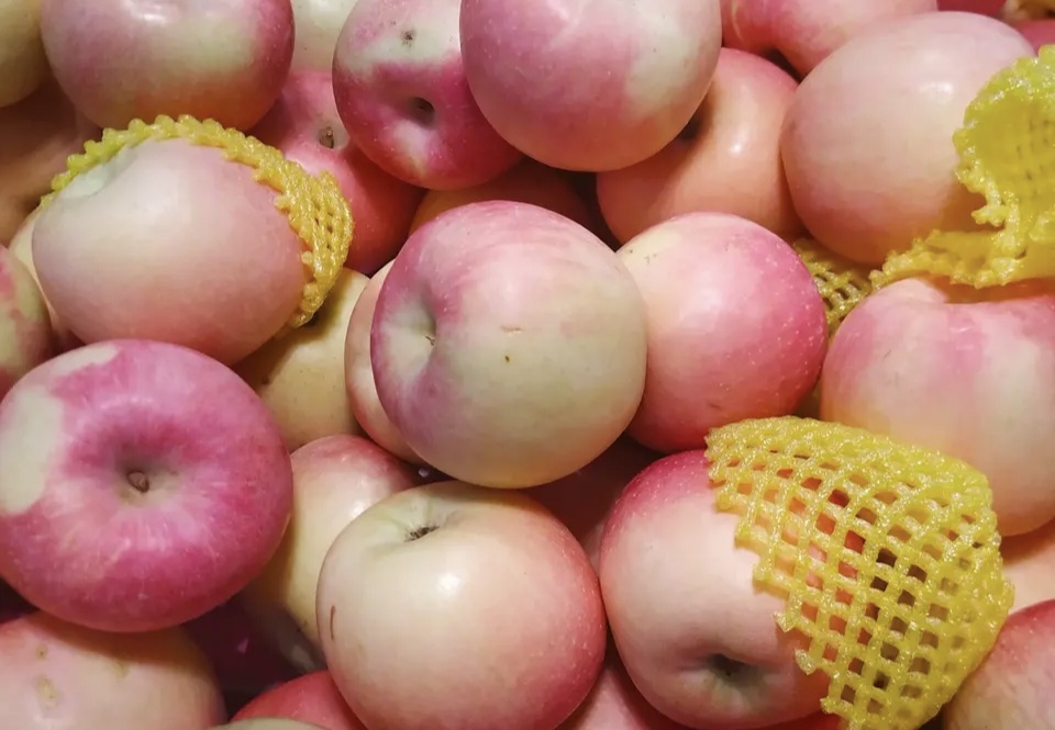 山西红富士苹果，手机微信号:13453922950