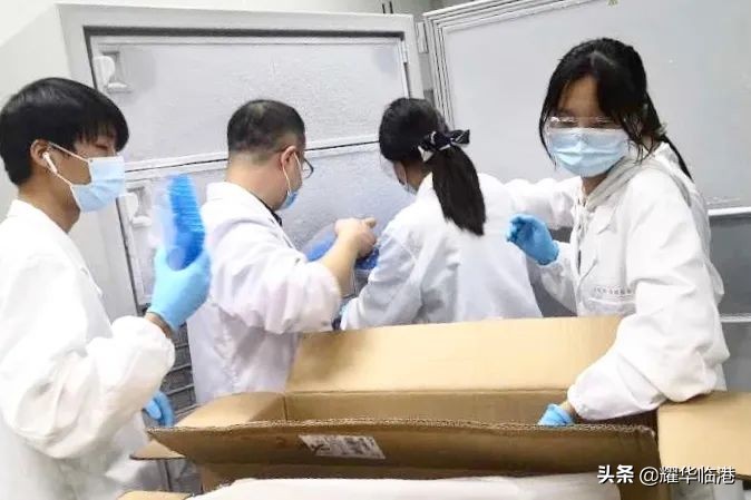 谁说高中生不能参与前沿科研？上海临港耀华学生的深渊极客之旅