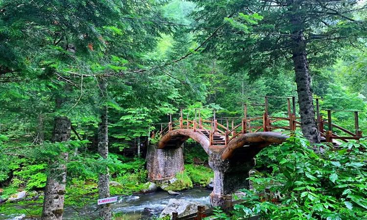 十五道沟望天鹅景区最佳游玩季节,十五道沟除了望天鹅哪里好玩