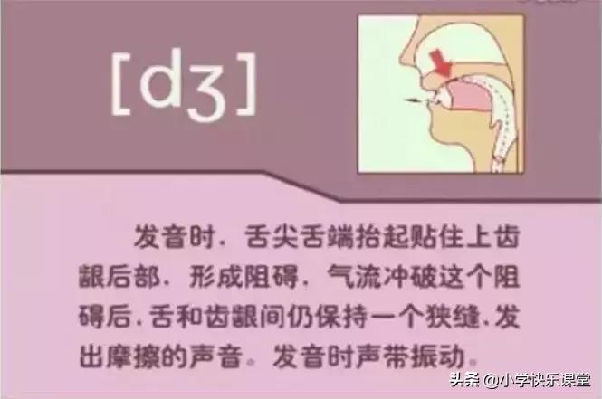 48个国际音标的发音口型视频图,英语48个音标发音口型视频