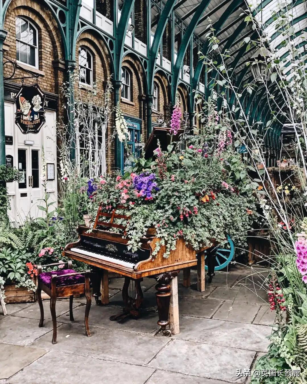 520/521：五月阳光下，伦敦依然盛放。记得常回来看看