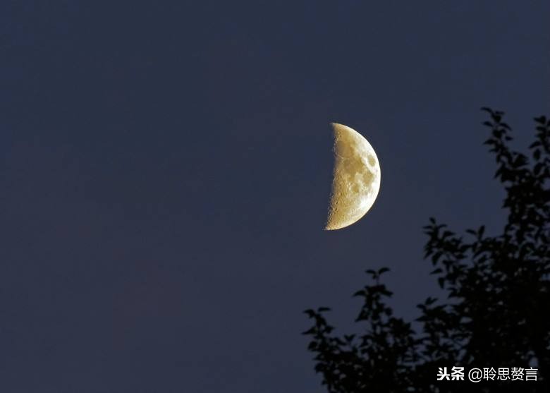 离别词诗词,离别诗词名句精选大全