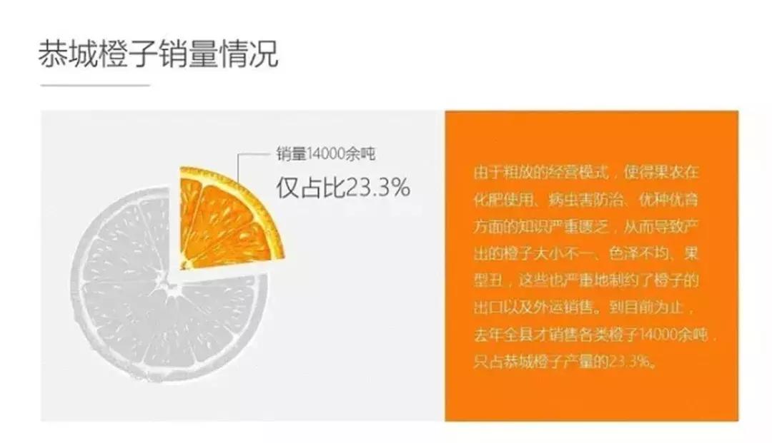 ppt设计与制作成果展示报告,ppt业务数据展示