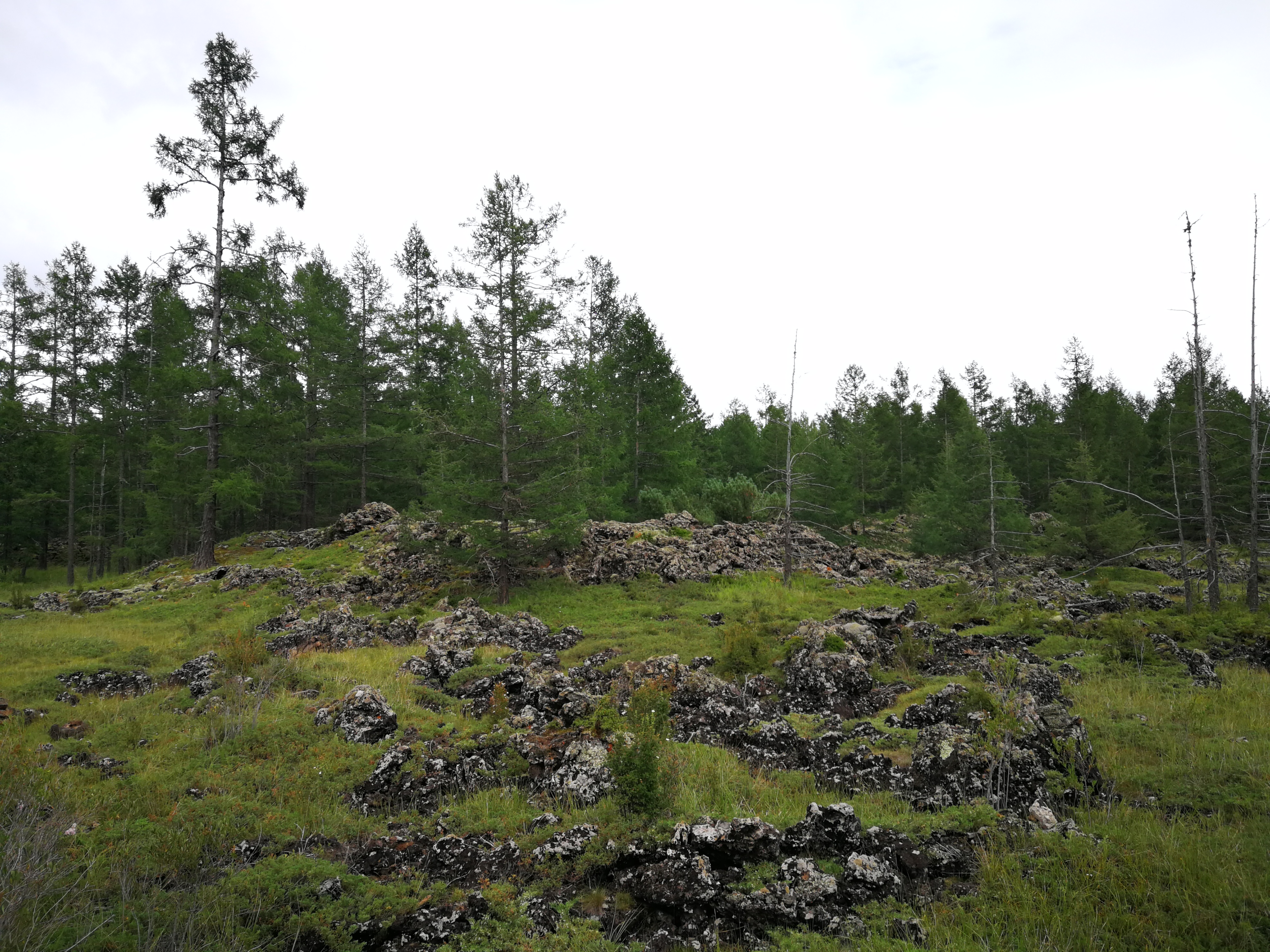 北京游阿尔山路线攻略,北京阿尔山旅游自由行攻略