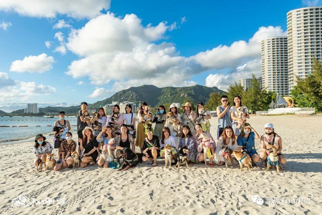 带着宠物去旅行的日常生活,想带着宠物一起旅游哪种好