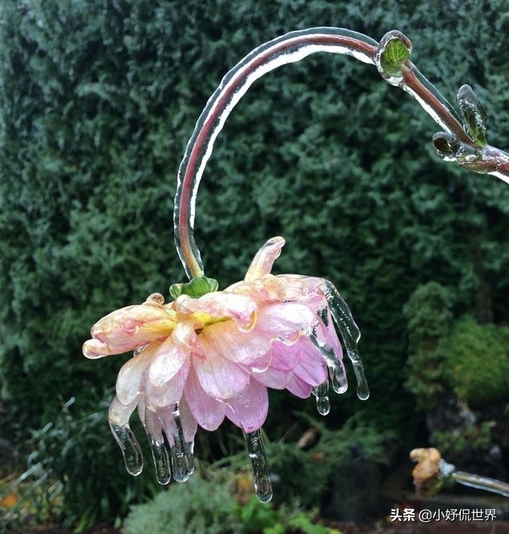 15张无法解释的图片,10张容易被当作被ps过的真实照片