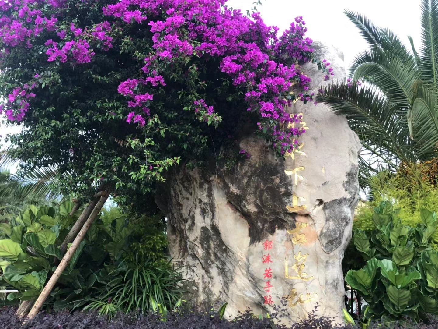 抚仙湖的浪漫,美丽的地方抚仙湖